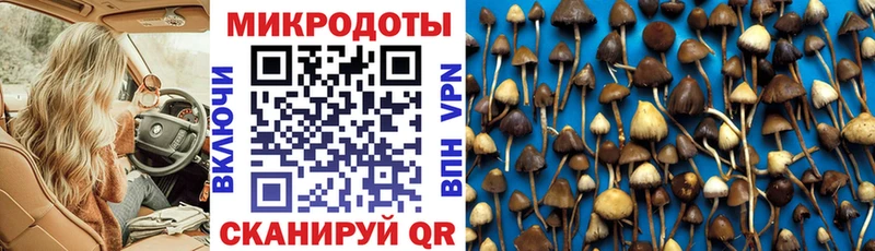 Купить закладки Еманжелинск Псилоцибиновые грибы MAGIC MUSHROOMS